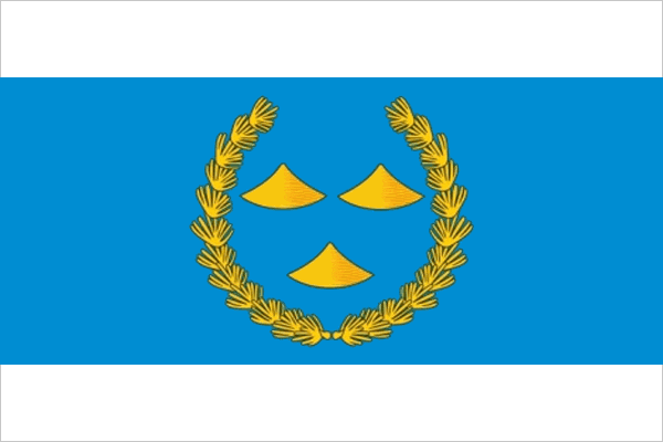 Flag of Nizhneudinsky District